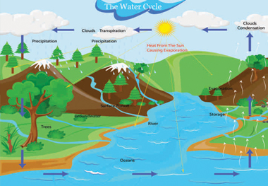water-cycle